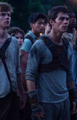 Бегущие в лабиринте.