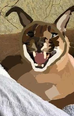 Невероятные Приключения Шлёпы Вне Дома