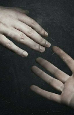 Слились с домом