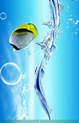 Нелепая история🐳🐠🐙