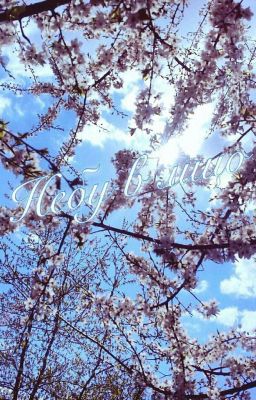 Небу в Лицо{Редакция}