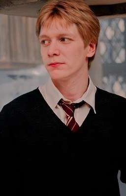 Любишь?.. Больше жизни.. Часть 2