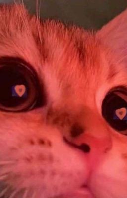 Реакции Аниме Персонажей на Тебя