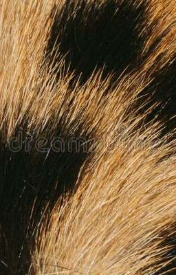 Поездка в ад невинности.