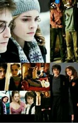 Любовь или Дружба