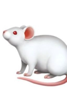 Печальная жизнь Сунико (до слез) 