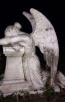 Заражонный ангел