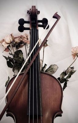 Последняя соната