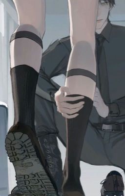 Я видел тебя во снах. 