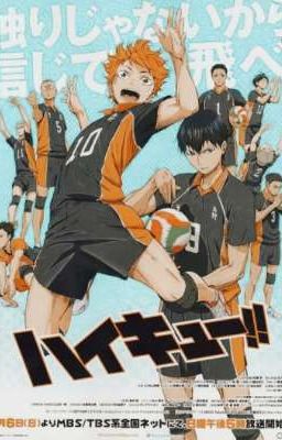 Менеджер Карасуно. [Завершено ] 