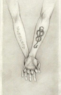 Альтаир Блэк 7 курс