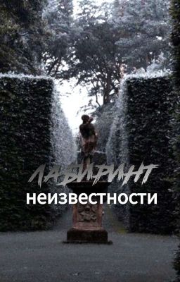 Лабиринт неизвестности| Ян Чонвон