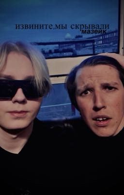 Извините,мы скрывали.(мазейк)