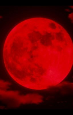 Красная луна. Бред сумасшедшего?