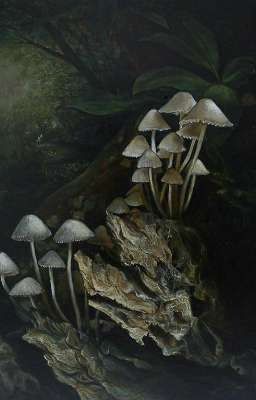 без названия