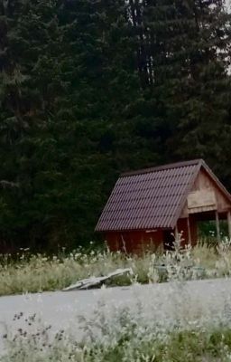 Тайны колодца