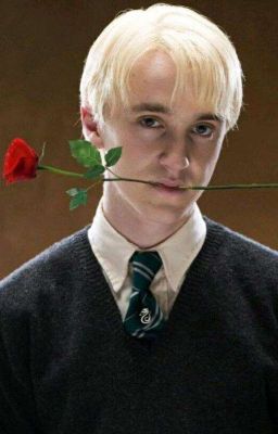 Я ЛЮБЛЮ ТЕБЯ МАЛФОЙ! 