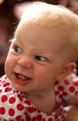 друзья навсегда 