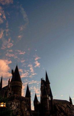 🖤...Hogwarts is my home...🖤 (Заморожено)
