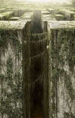 Связанные судьбой