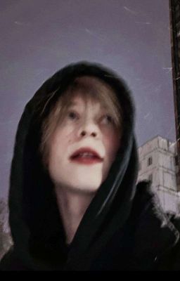 Дипинс и  Т/И 