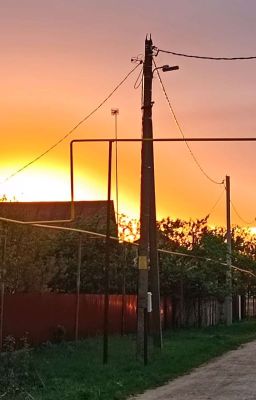 Честь. Человечность. Человечество.