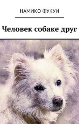 Человек собаке друг