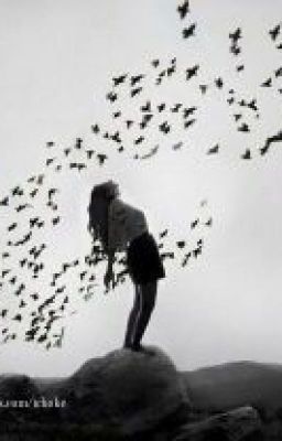 Дай мне знать