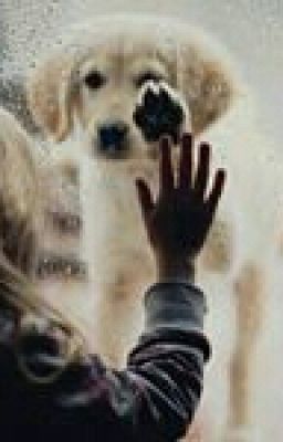 Я Тебя Помню...