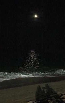 Туда, где море подслушивало нас...