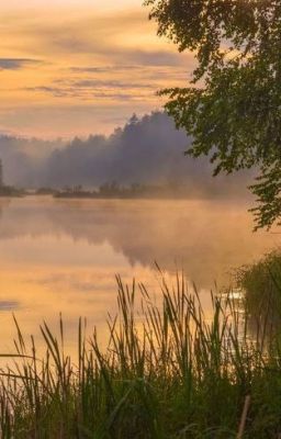 Ну привет исчадие ада