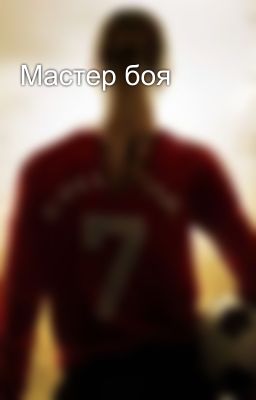Мастер боя
