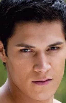 Любовь волчицы