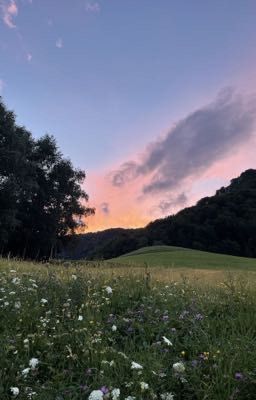 ;; мои стихи