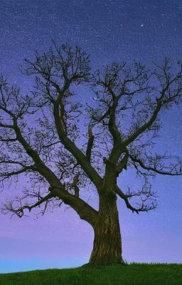 На чем держится наш мир