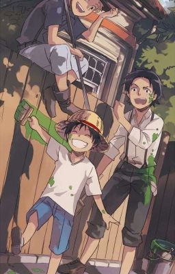 Новая история ван пис