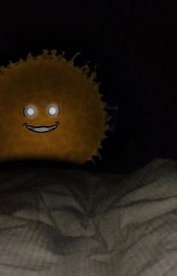 Шаранутый пиздец