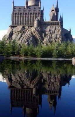 "Скрытая сестра поттера"