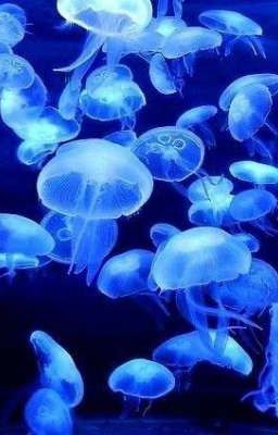 Любовь не вечна