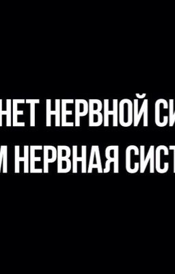 Нервная система 