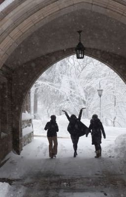 𝐹𝑟𝑒𝑑 𝑊𝑒𝑎𝑠𝑙𝑒𝑦'𝑠 𝑆𝑐𝑎𝑟𝑓 ⟡ ݁₊ .