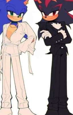 Мой Мотоциклист