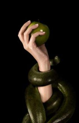 Тоже Яблоки Значит?😏