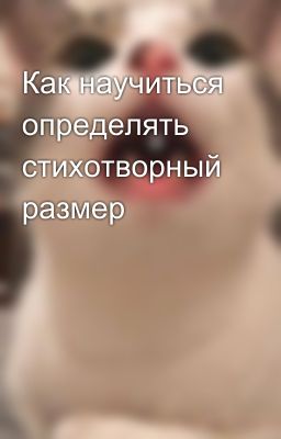 Как научиться определять стихотворный размер
