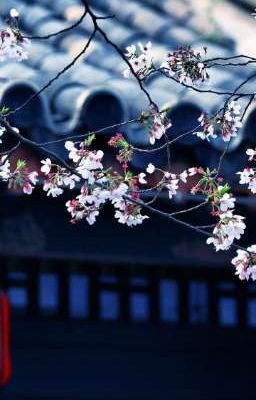 Билет в счастливую жизнь