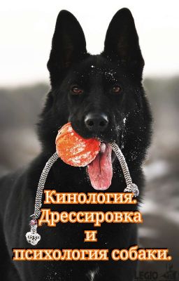Кинология для каждого. Дрессировка и психология собаки.