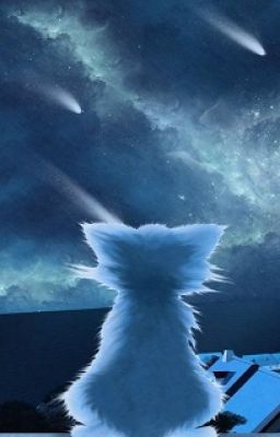 Мёртвые звёзды