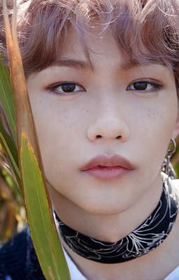 Не по стандартам