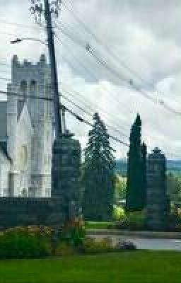 Городские Убийства 