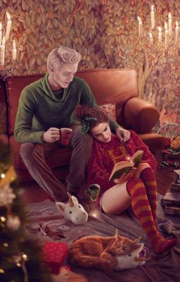 Бордовый с золотом, зелёный с серебром